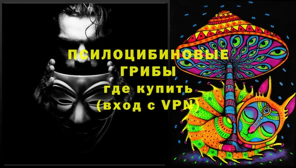 соль ск Медногорск