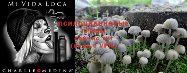 МДМА Медвежьегорск