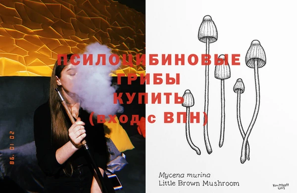 МДМА Медвежьегорск