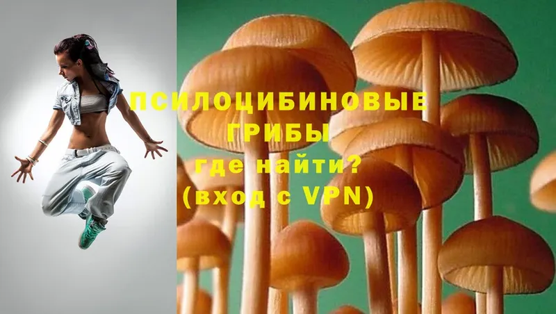 магазин продажи   Ясногорск  Галлюциногенные грибы Magic Shrooms 