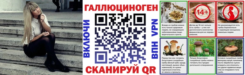 Псилоцибиновые грибы Cubensis  OMG маркетплейс  Ясногорск 